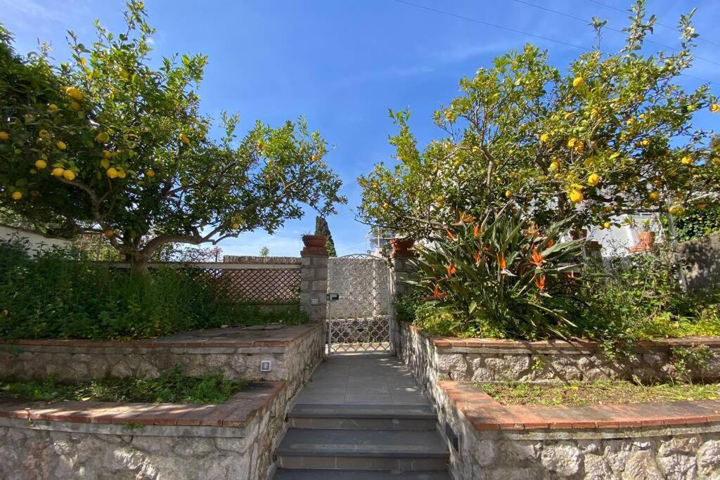 I Limoni Capri Apartment エクステリア 写真